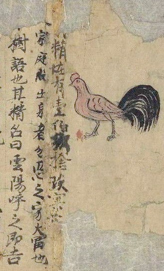 专访游自勇｜那个物老成精的世界：在敦煌吐鲁番写本中，追寻一己之福