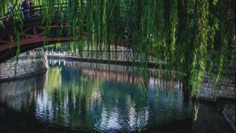 皇甫晓涛：忍不住写了一首《泉城赋》