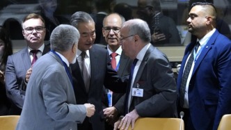 乌克兰危机“和平之友”小组在联合国成立