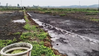 廣西橫州三家養豬場被指糞污直排污染生活用水，曾致村民出現腹瀉、皮疹等癥狀