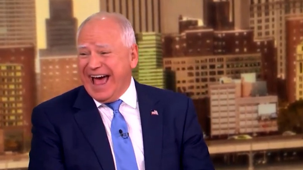 馬斯克每天送百萬美元，哈里斯競選搭檔大笑：拿了錢也能投民主黨