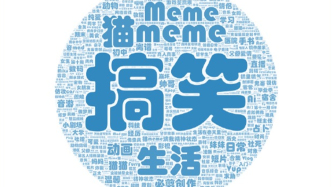 “猫meme”爆火背后：治愈创伤的魔力