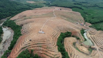 毁林频发、污水直排……海南生态环境保护例行督察公布两地典型案例