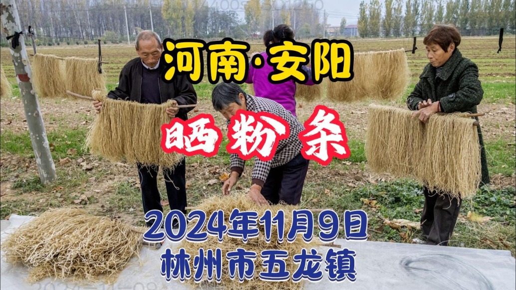 曬粉條：林州市五龍鎮薛家崗村丨河南安陽