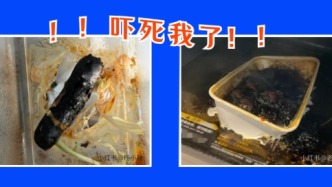 这种餐盒，别放微波炉加热！很多人不知道还在用……