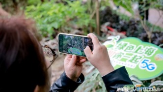 “绿色上海，和你一起”——智享城市更新·慧赏都市山林引领都市绿色生活新风尚