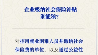 谁能申领企业吸纳社会保险补贴？