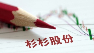 杉杉股份繼承權(quán)之爭：后媽上位，會比“太子”干得更好？