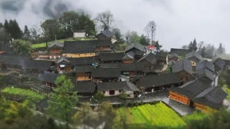 这个曾经的贫困村，获评世界“最佳”！