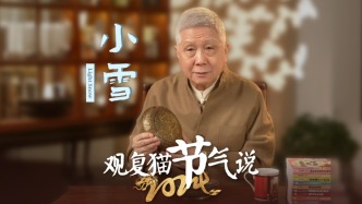 觀復(fù)貓節(jié)氣說(shuō)——小雪