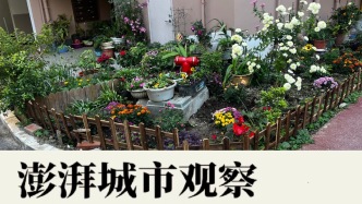 社區(qū)花園為何難以持久，如何支持其內(nèi)生力量？