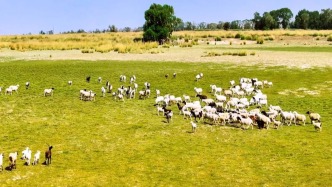 去爱，爱生活 | 在瓜州，也有属于「我的阿勒泰」