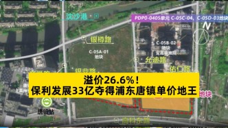 溢价26.6%，保利发展33亿夺得浦东唐镇单价地王