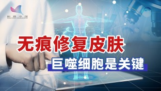 突破烧伤难题！免疫细胞让皮肤无痕修复变现实