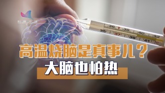 高温真的会“烧坏”你的大脑？科学揭秘温度对认知的可怕影响