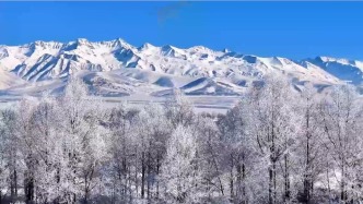 大美中國(guó)丨青海門源：雪后霧凇宛如仙境