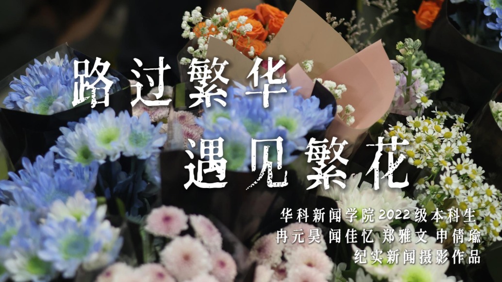 路过繁华，遇见繁花