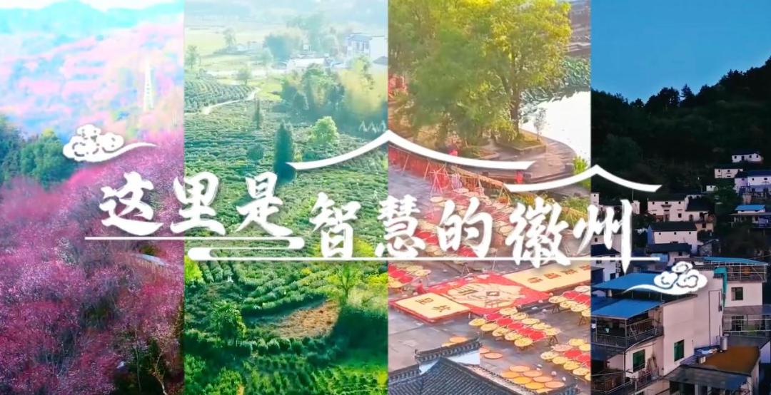 “安”“徽”两个字, 我们这样点亮