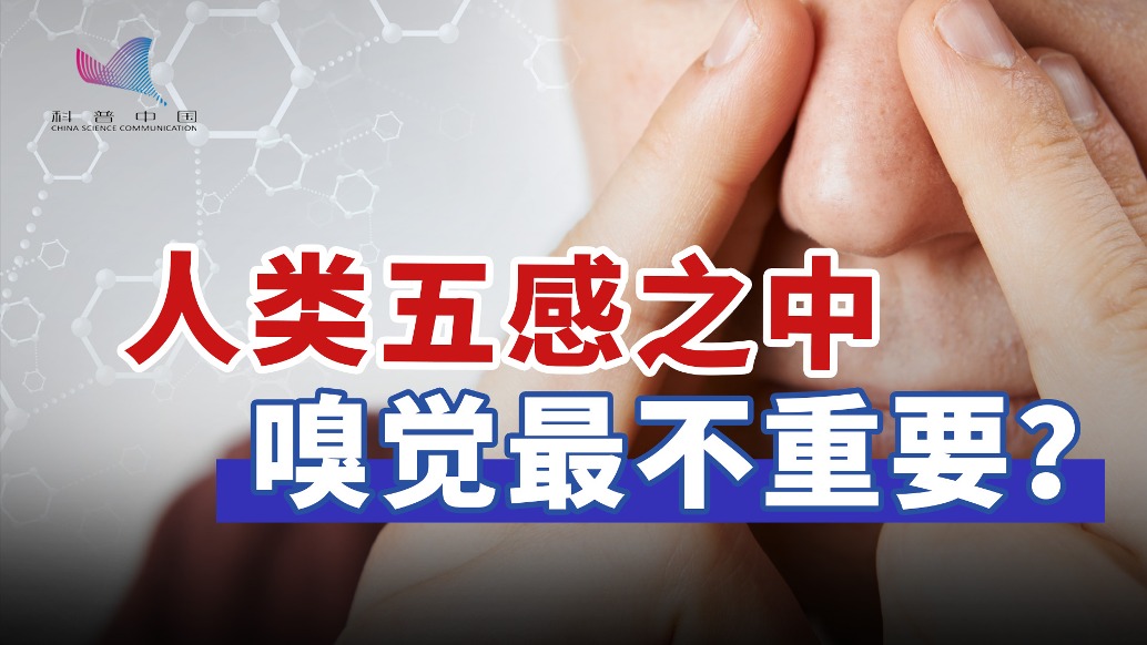 失去嗅觉后，心理健康会崩塌？科学家揭示呼吸模式的秘密