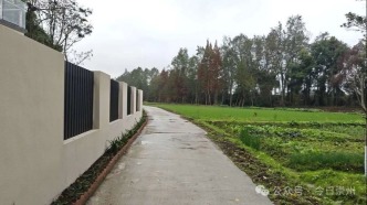 2公里，这条景观路明年春天呈现！