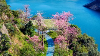 大膽預測！鹽田這個郊野公園又要出圈啦！