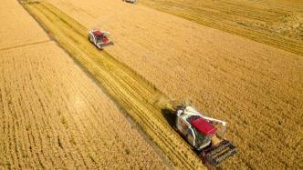 我國(guó)將大力推動(dòng)糧食大面積單產(chǎn)提升