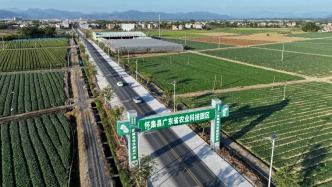 大家好，我是岭南蔬菜之乡！