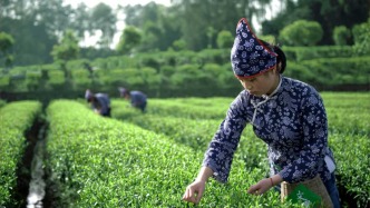 成都后花園，現實版“世外桃源”古村，風景絕美，獨享小眾秘境