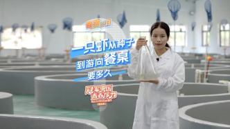 冠軍中國·青春接力｜一只蝦從種子到游向餐桌要多久？