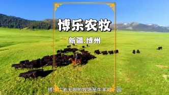 原以為新疆只是風光美，沒想到博樂的產業也如此硬核!