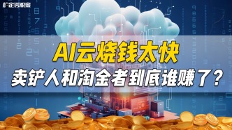 AI云烧钱太快，卖铲人和淘金者到底谁赚了？