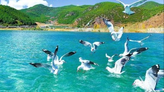 【美丽四川】深情的泸沽湖 