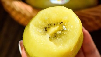 一颗猕猴桃罚6000万，怎样避免品种侵权？