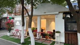 再一次被上海的农村震惊了