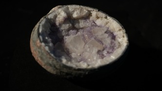 恐龙蛋里竟藏水晶？“中国恐龙之乡”博物馆收藏化石超两万枚