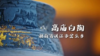 湖南一小村庄发现中国第一只凤凰，比太阳神鸟还早4000年