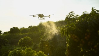 中國民航局局長學習時報撰文：高質量發展通用航空和低空經濟