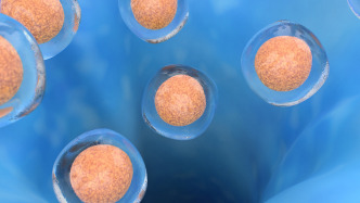 上海专家研究：干细胞移植为难治性呼吸系统疾病提供新思路