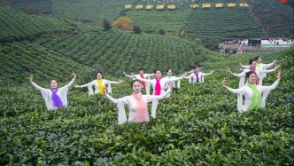 新年旅行：见证贵州绿茶第一采，品味黔西南的千年茶韵