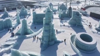 “冰”馬俑都來冰雪大世界了！“爾濱”喊你來過節(jié)