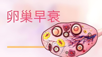 長期熬夜，要警惕卵巢早衰