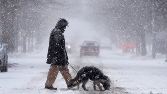 在美华人亲历冬季风暴雪灾：积雪没膝，超市部分货架被买空