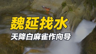 魏延脾氣暴躁，愛兵愛民，死后卻一直戴著反賊的帽子