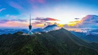 梧桐山+红花岭！这条生态廊道，期待住了！