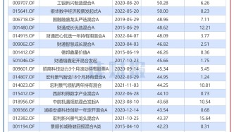 2024年主动权益基金透视：金元顺安、富荣基金等跌超30%