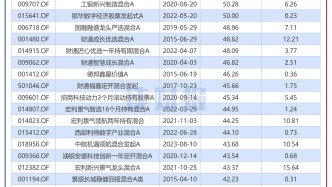 2024年主动权益基金透视：摩根士丹利基金业绩领跑