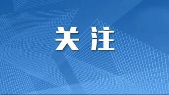 劳动法律监督“一函两书”典型案例