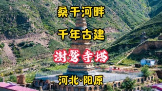 澍鹫寺塔：金元砖塔千年历史，桑干河畔著名古建丨河北阳原