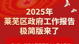 一图读懂|2025年莱芜区政府工作报告极简版来了