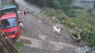 云南3歲女童遭狗群撕咬續(xù)：生命體征基本平穩(wěn)，當(dāng)?shù)匾焉暾埮R時救助